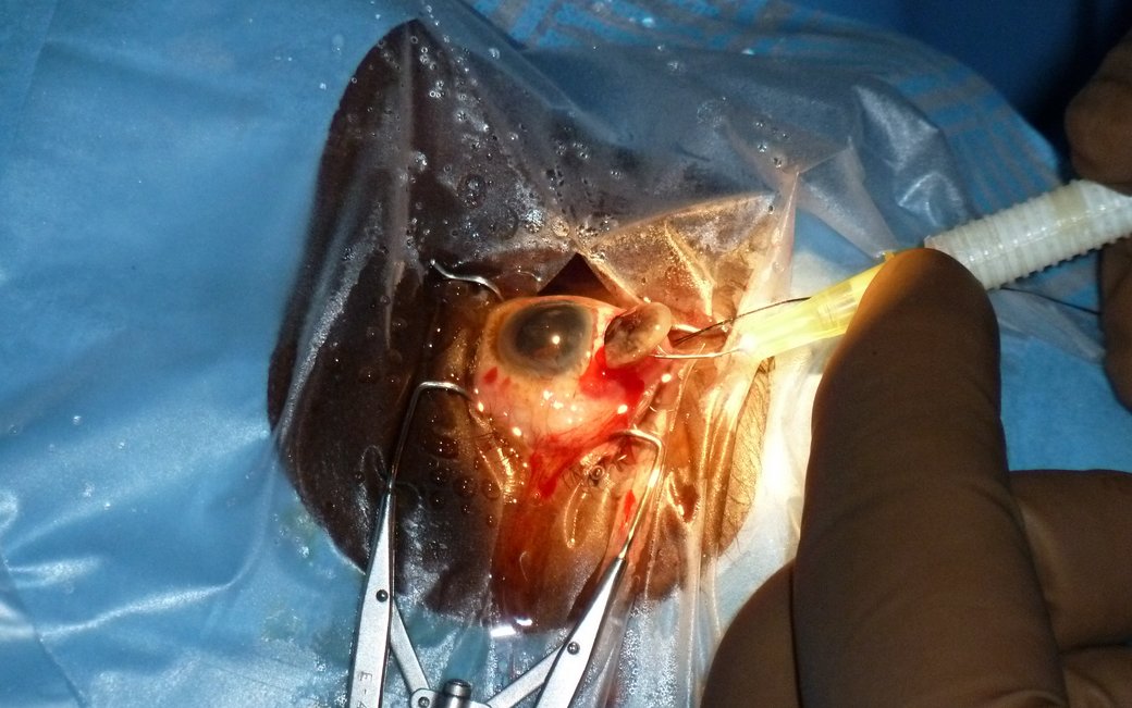 csm ehrenamt in uganda 2012 23 7cfb7839c4 - Engagement in Oeganda - Augenärzte Gerl & Kollegen