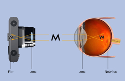 vergelijking menselijk oog en camera